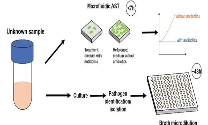 Microfluidics for Rapid Antibiotic Susceptibility Testing